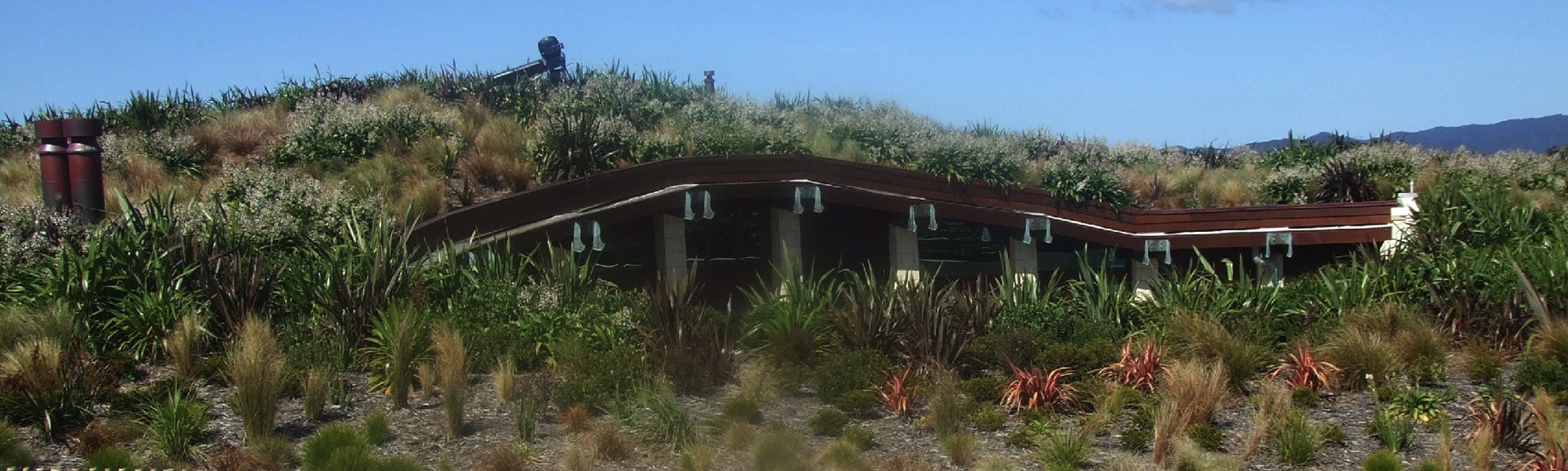 _0006_06 ecoROOF Russell 2.jpg